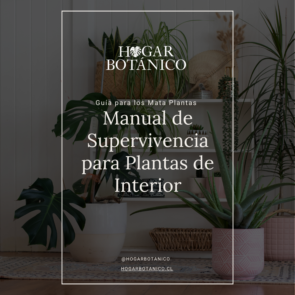 ebook | Guía para los mata plantas