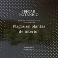 eBook | Guía de identificación y prevención