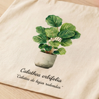 Totebag Calathea orbifolia (tirantes rosado)