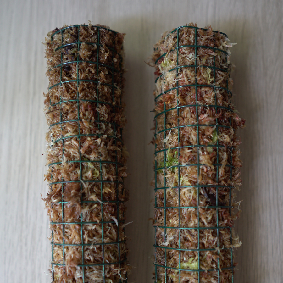 Pack 2 Tutores de Musgo Sphagnum 60 cm